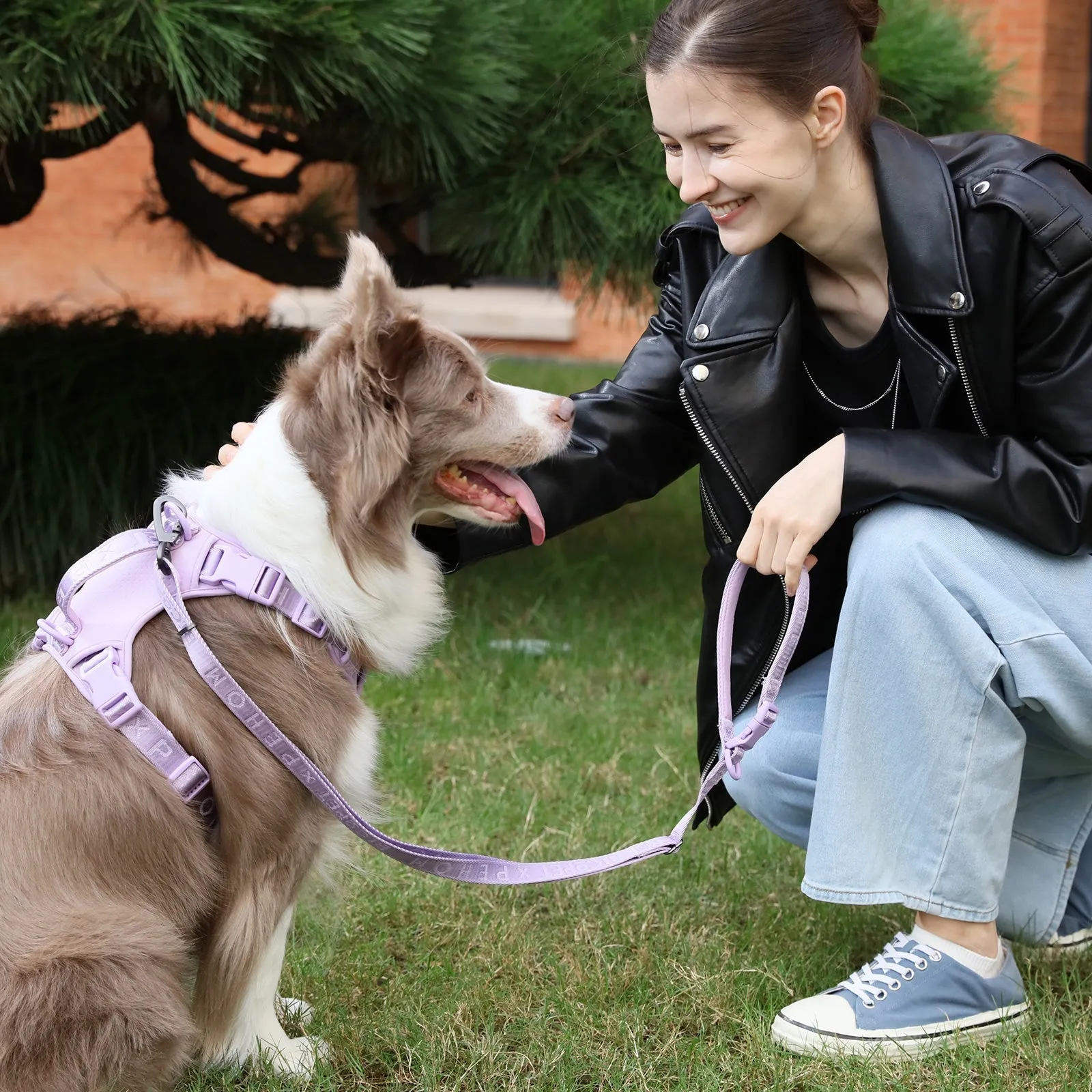 PADDED  ACTIVE  PET LEASH  - MINT PURPLE